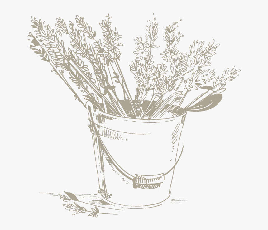 Lavender Water Is Used In Cosmetics For Its Calming, - Bouquet, HD Png Download