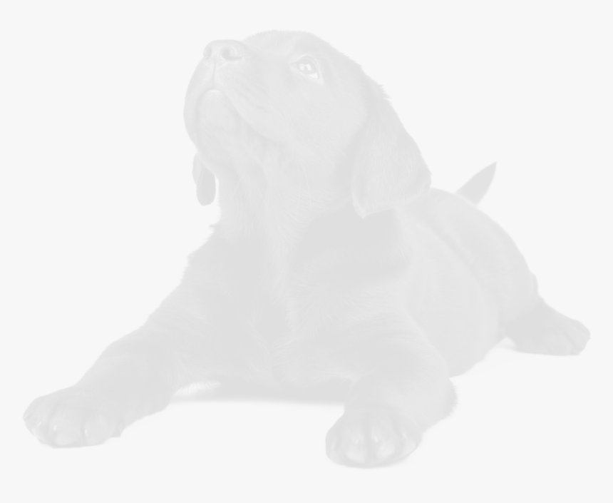 Neapolitan Mastiff , Png Download - Animal Figure, Transparent Png