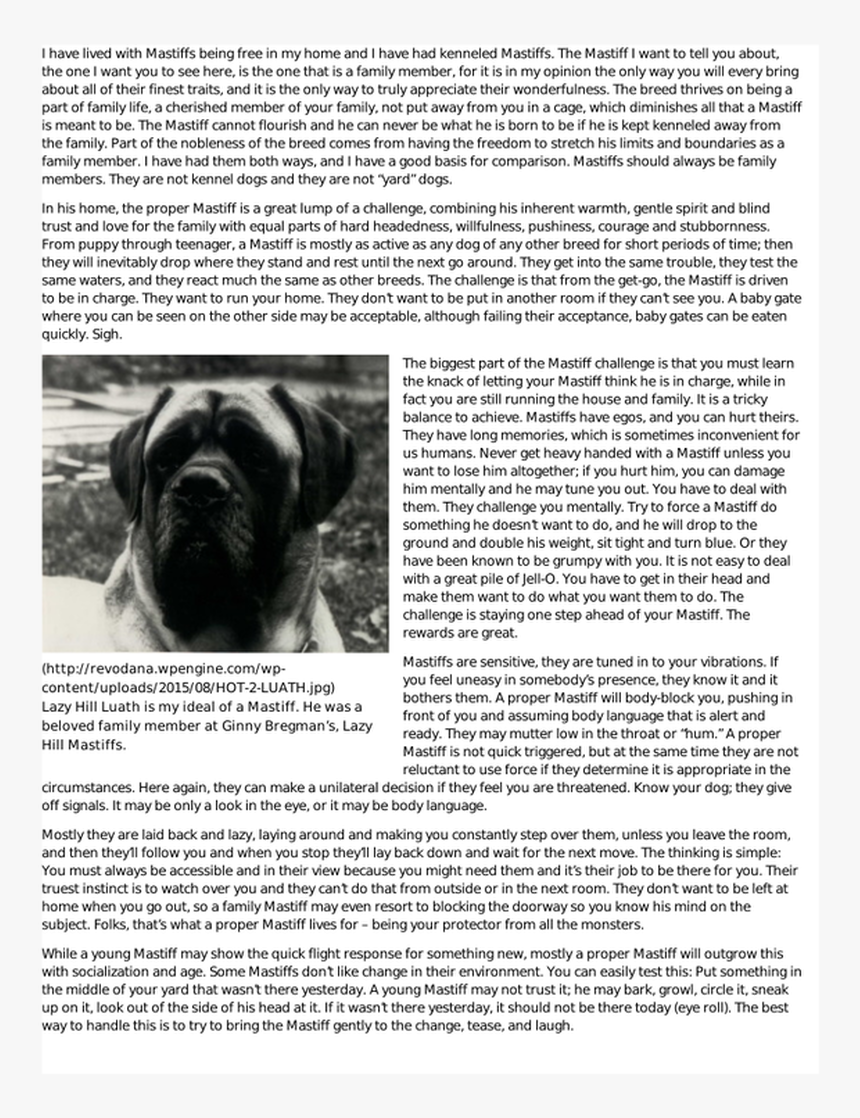 Picture - Boxer, HD Png Download