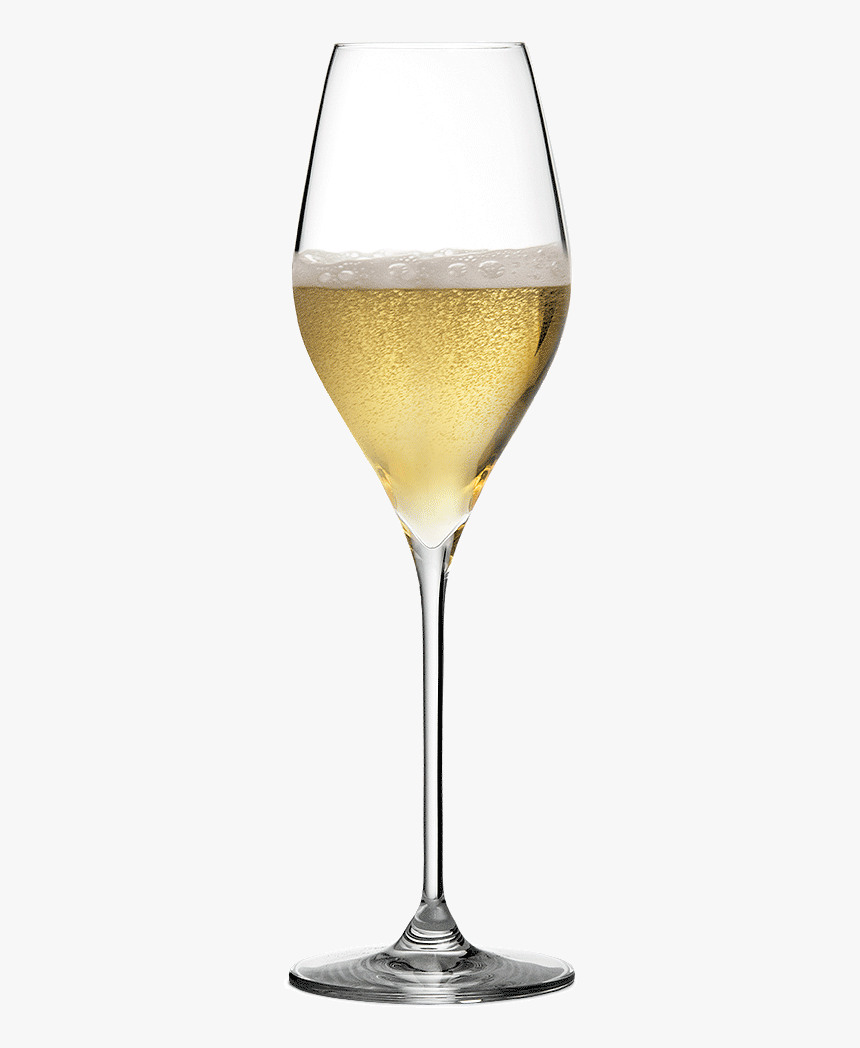 Bacci Champagne Glass, HD Png Download