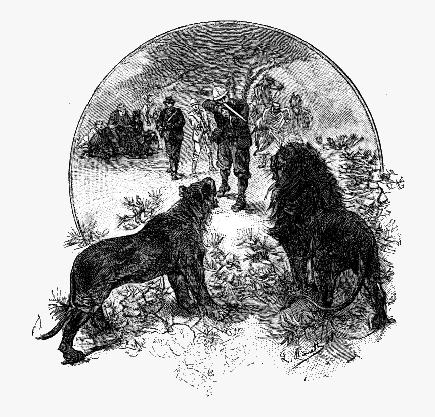 Clovis Dardentor - Alpine Mastiff, HD Png Download