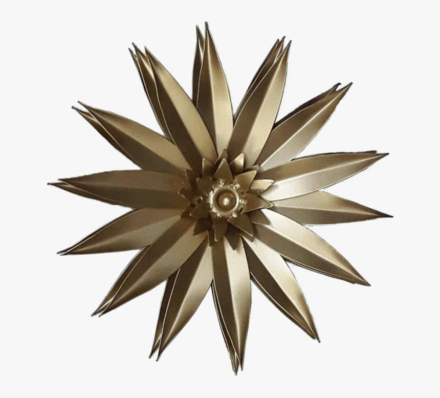 Gal Leg Spurs, HD Png Download