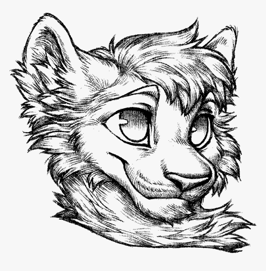 Sketch, HD Png Download