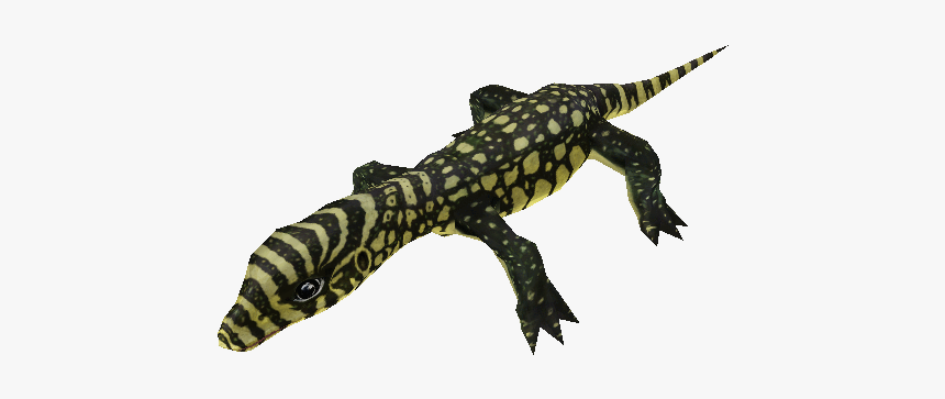 Download Zip Archive - Zoo Tycoon 2 Reptile Downloads, HD Png Download