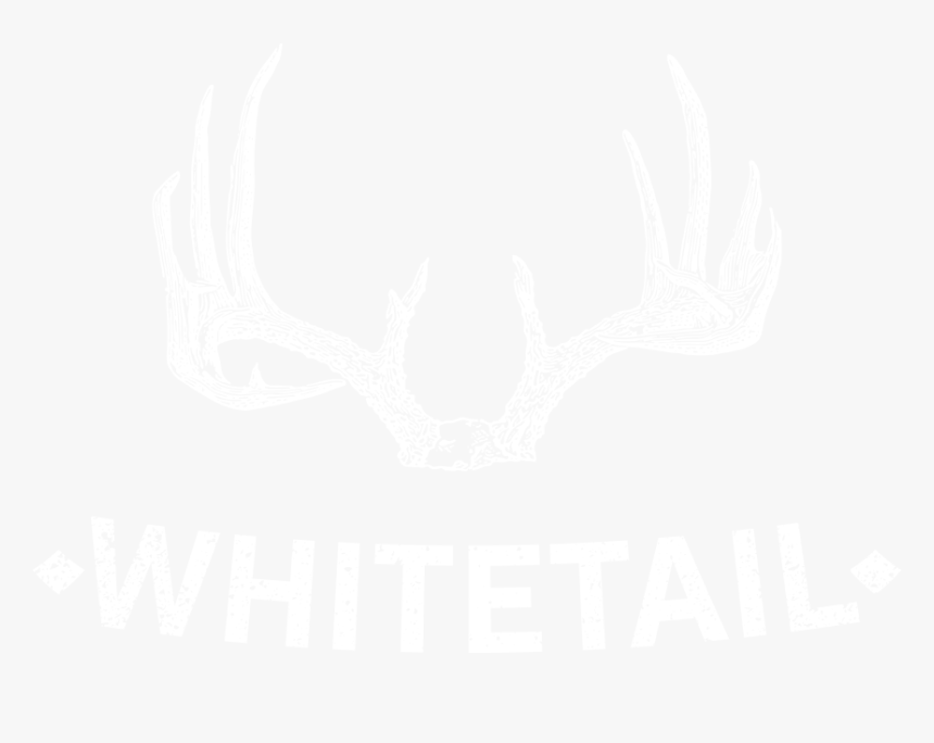 Whites Only Sign Bus, HD Png Download