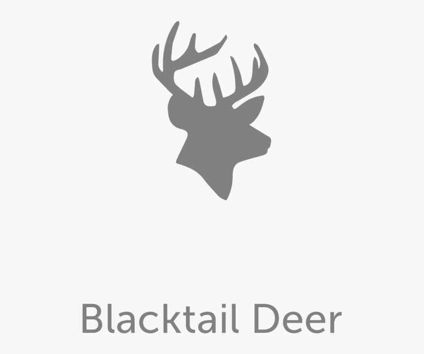 Anthony Gupta - Elk, HD Png Download