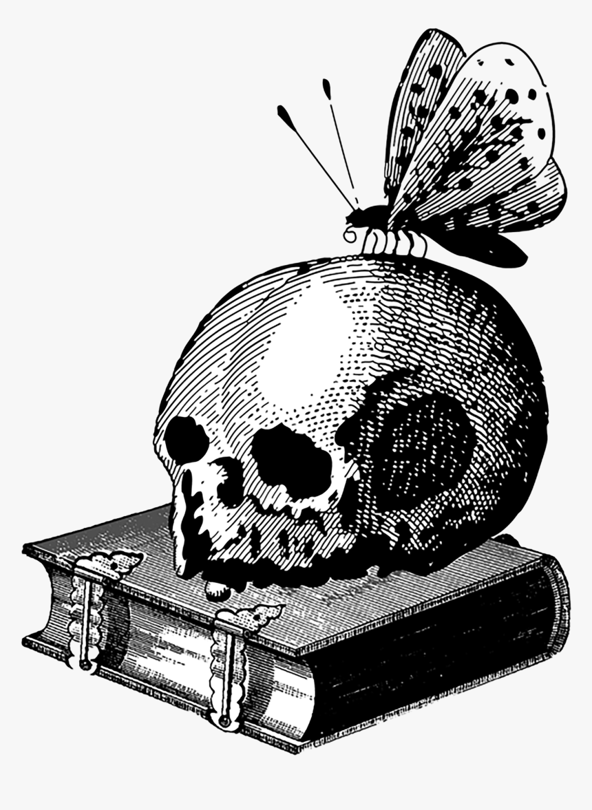 Illustration, HD Png Download