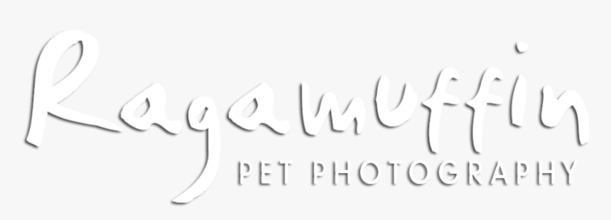 Calligraphy, HD Png Download