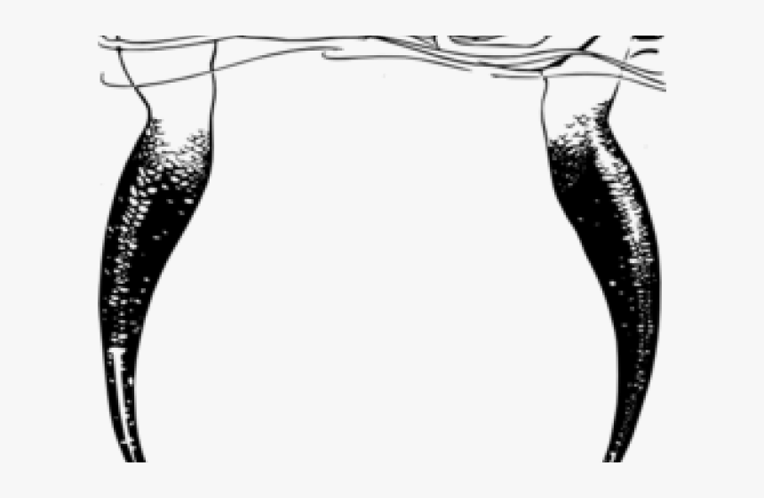 Mermaid Tail Clipart Public Domain - Clipart Mermaid Frame, HD Png Download