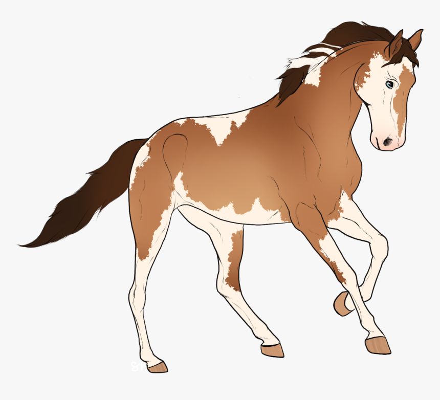 Mane, HD Png Download