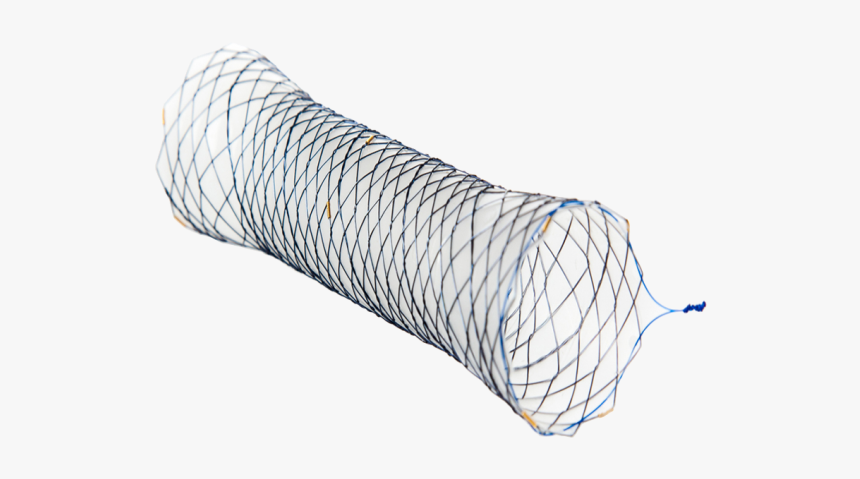 Sketch, HD Png Download