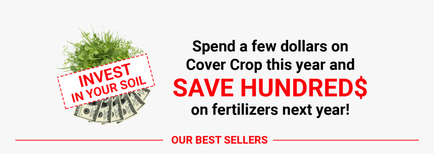 Guitar String, HD Png Download