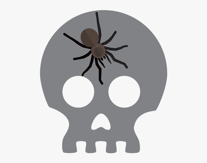 Wolf Spider, HD Png Download