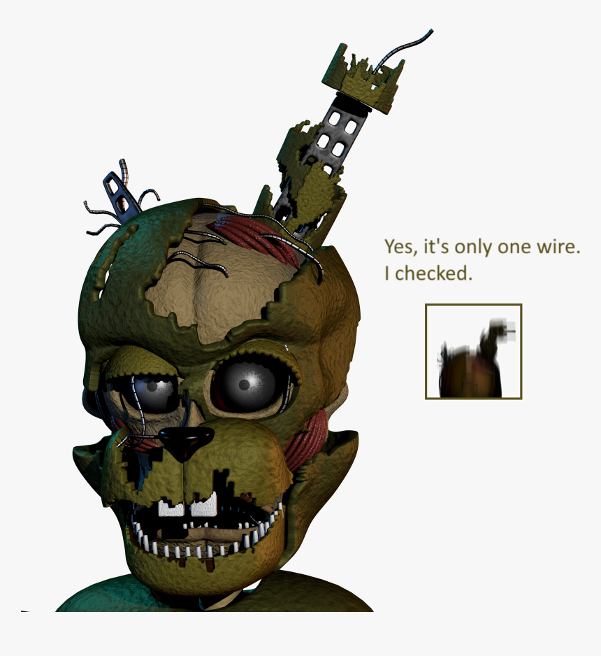 Skull, HD Png Download