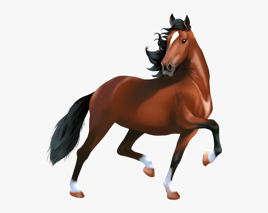 Sorrel, HD Png Download