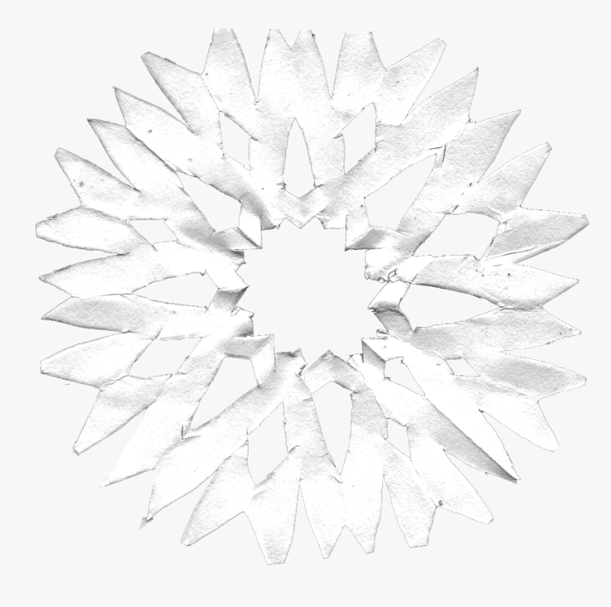 Sunflower, HD Png Download
