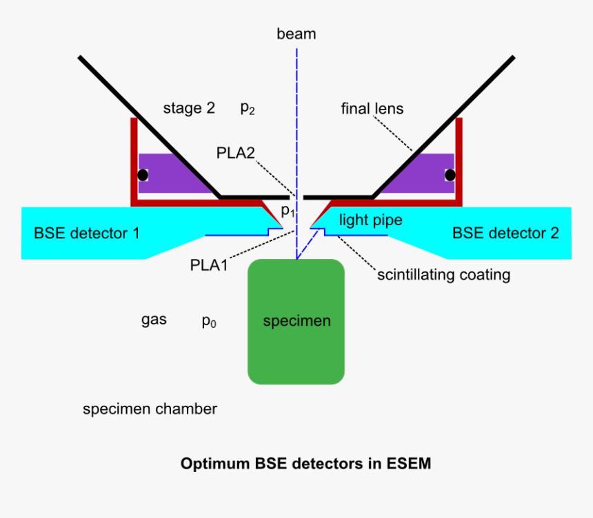 Esem Bse - Backscatter Electron Detector, HD Png Download