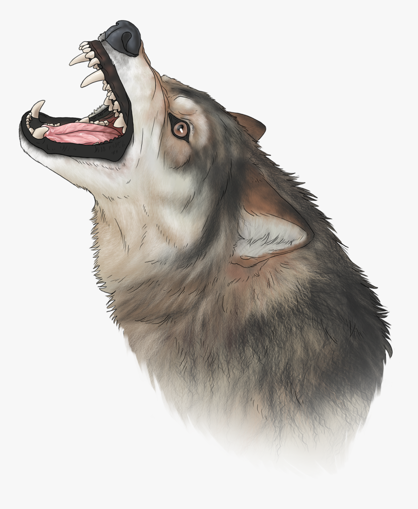Wolf Nose Png - Cat Yawns, Transparent Png