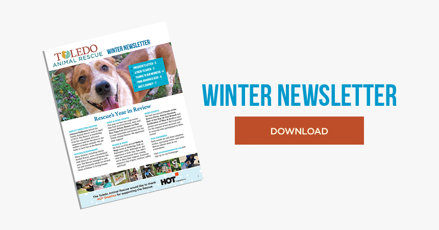 Geo Tri Color Grey, HD Png Download