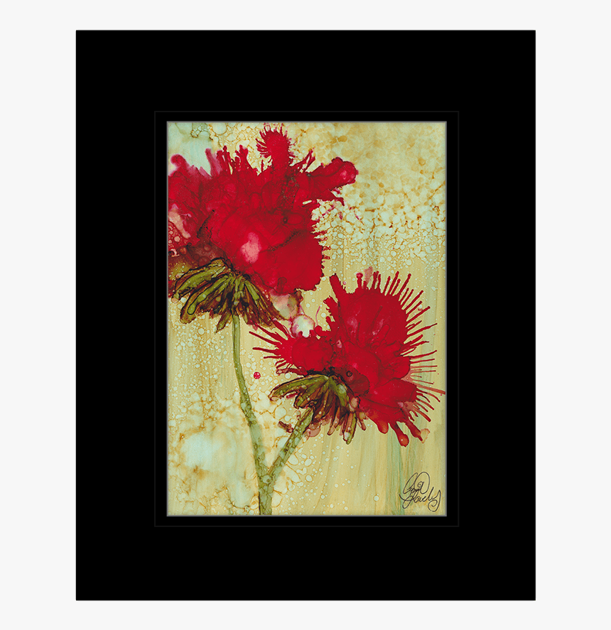 Common Peony, HD Png Download