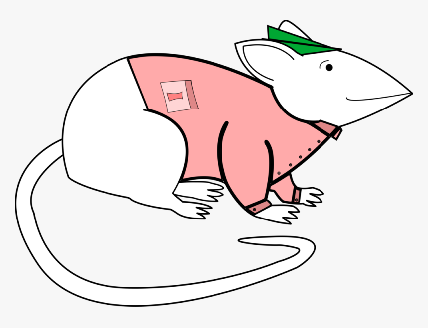 Clip Art, HD Png Download