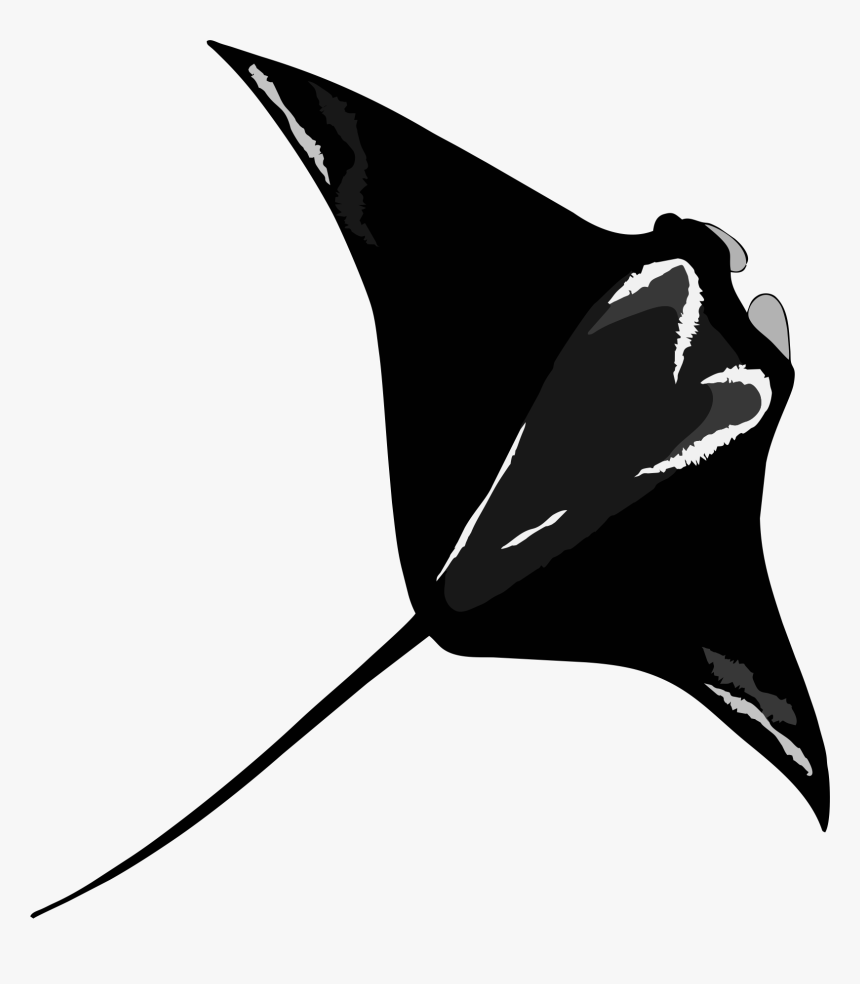 Transparent Scuba Dive Clipart - Illustration, HD Png Download