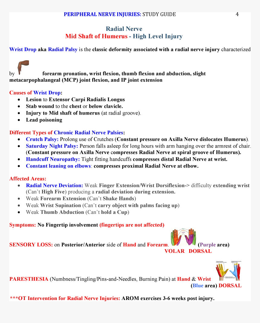 Screenshot, HD Png Download