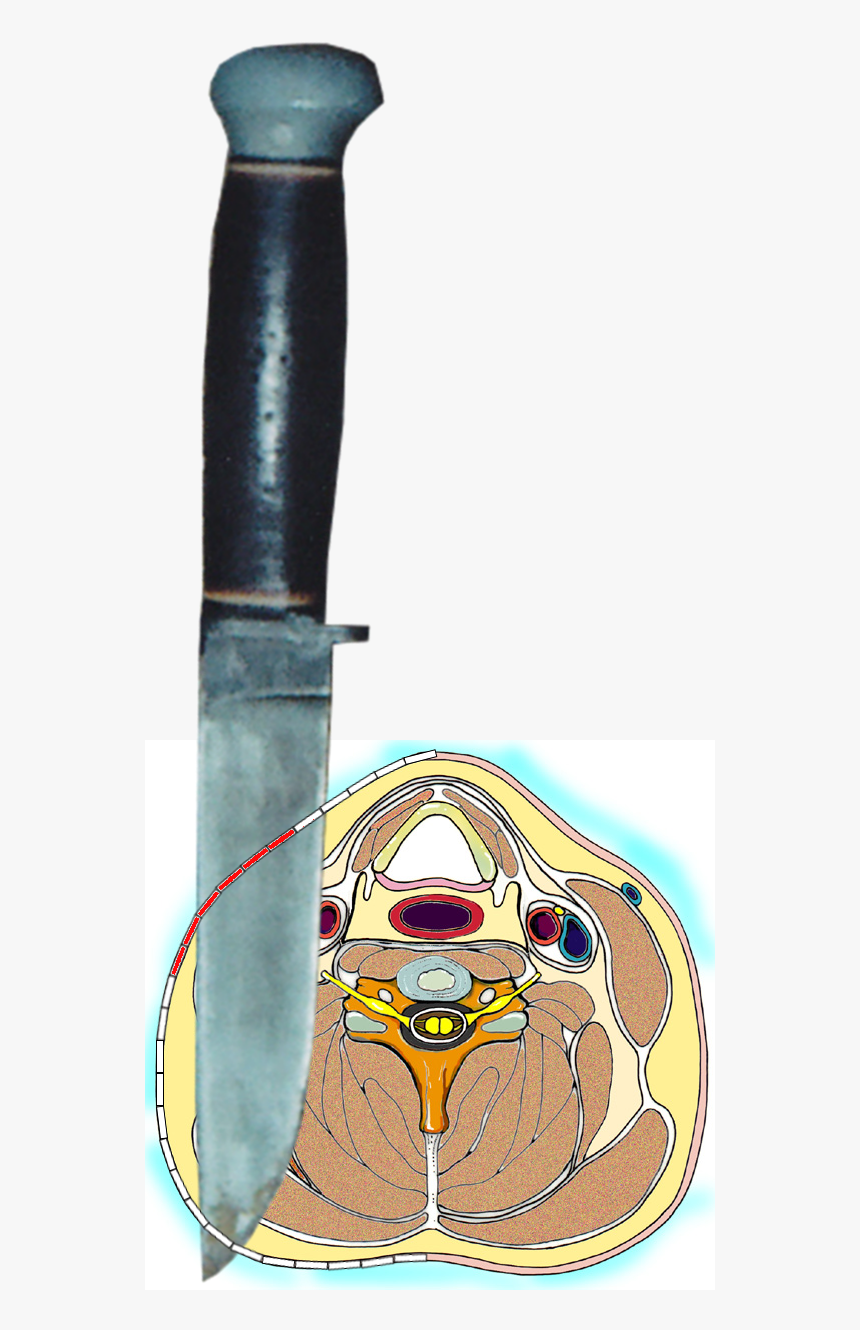 Bowie Knife, HD Png Download