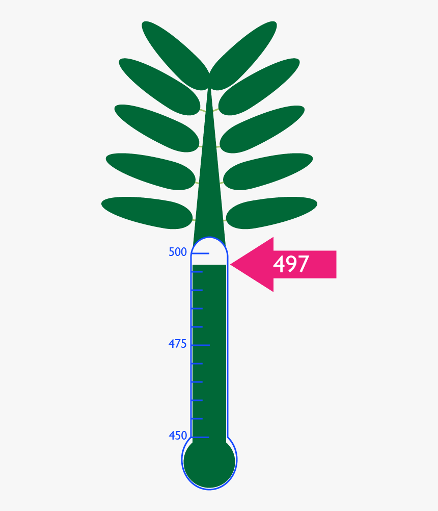 Palm Tree, HD Png Download