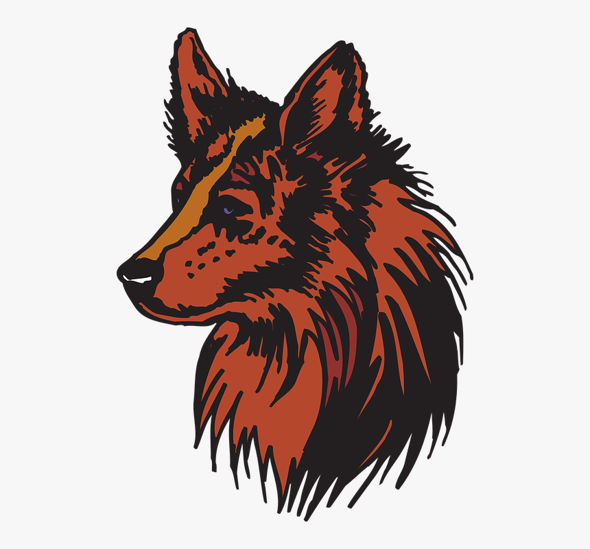 Dog, HD Png Download