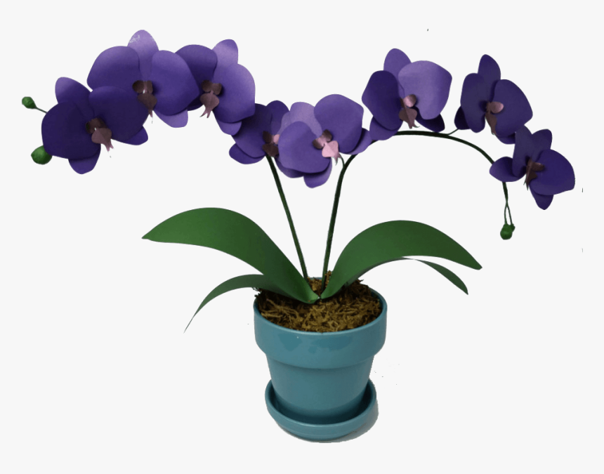 Learn How To Make This Paper Orchid - Pattern Orchid Templates, HD Png Download