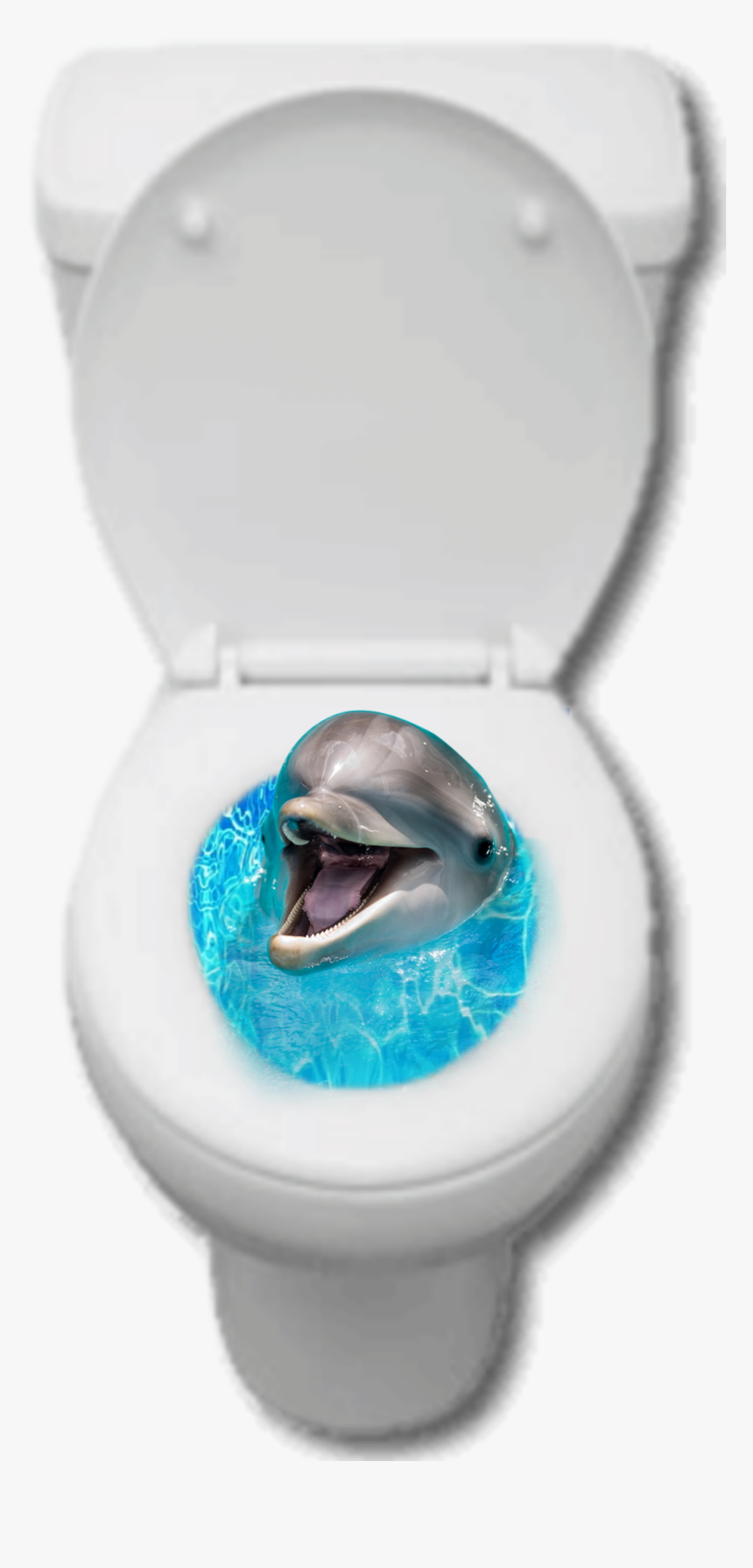 #toilet #dolphin #collage #golfinho #privada #aestheticshit - Short-beaked Common Dolphin, HD Png Download