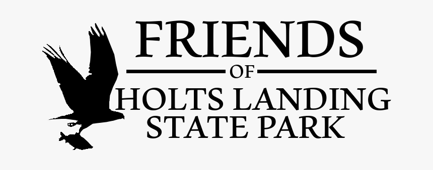 Friends Of Holts Landing State Park Logo - Pigeons And Doves, HD Png Download
