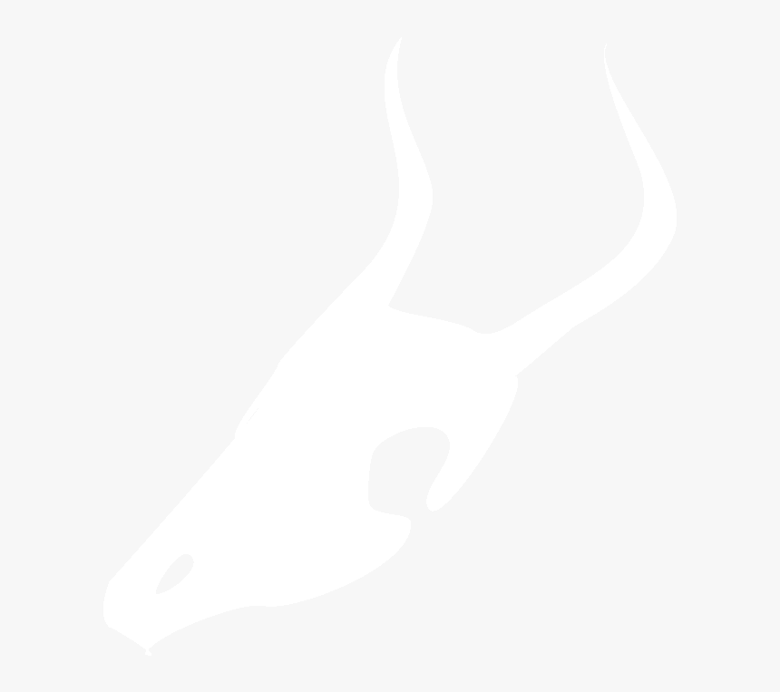 Johns Hopkins Logo White, HD Png Download