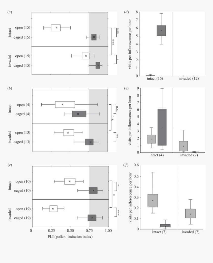 Architecture, HD Png Download