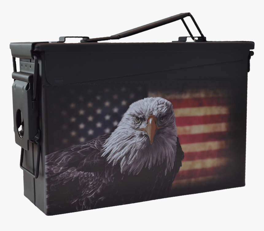 Popular Custom Designs - Bald Eagle American Symbol, HD Png Download