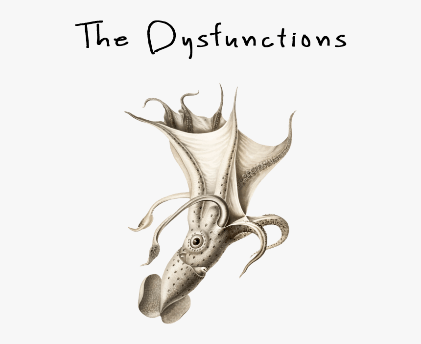 The Dysfunctions - Vintage Squid Illustration, HD Png Download