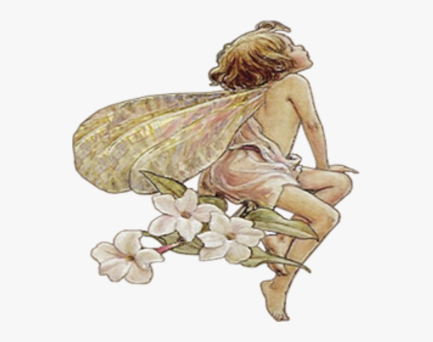 Transparent Fairy Wings Clipart - Public Domain Flower Fairy, HD Png Download