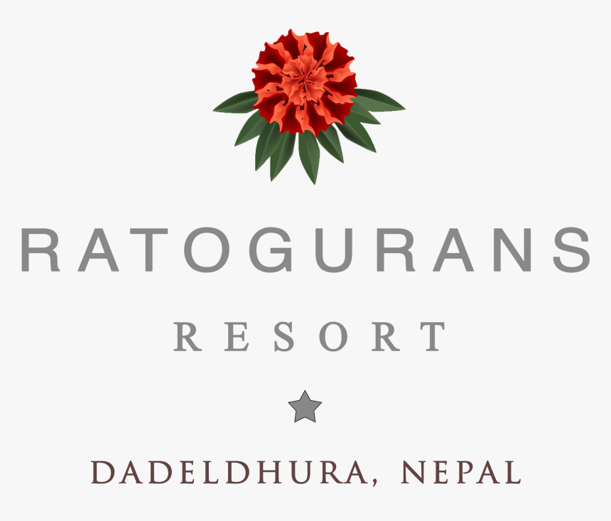 Swiss Military Hanowa, HD Png Download