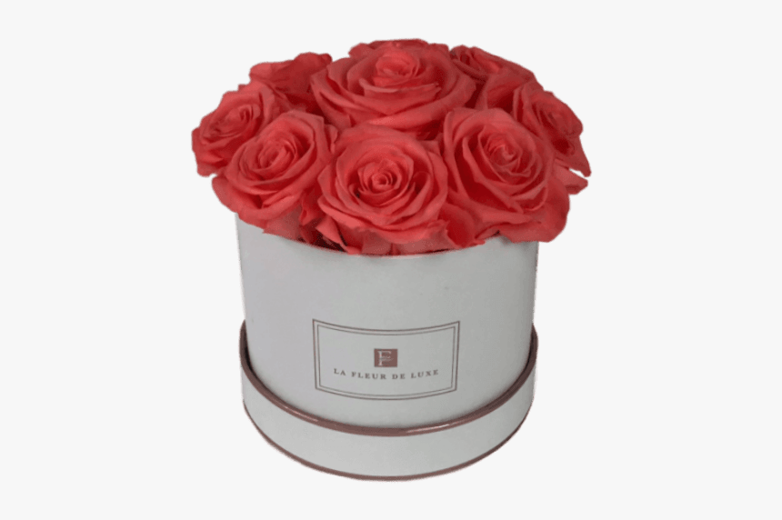 Long Lasting Peach Roses In A White Box - Garden Roses, HD Png Download