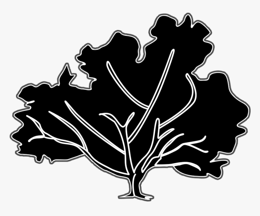 Fall Tree Silhouette - Illustration, HD Png Download