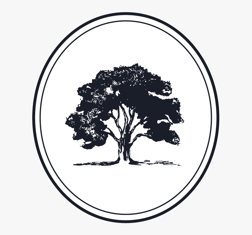 Estate Planning We Help Individuals And Families Protect - Beech Tree Vector, HD Png Download