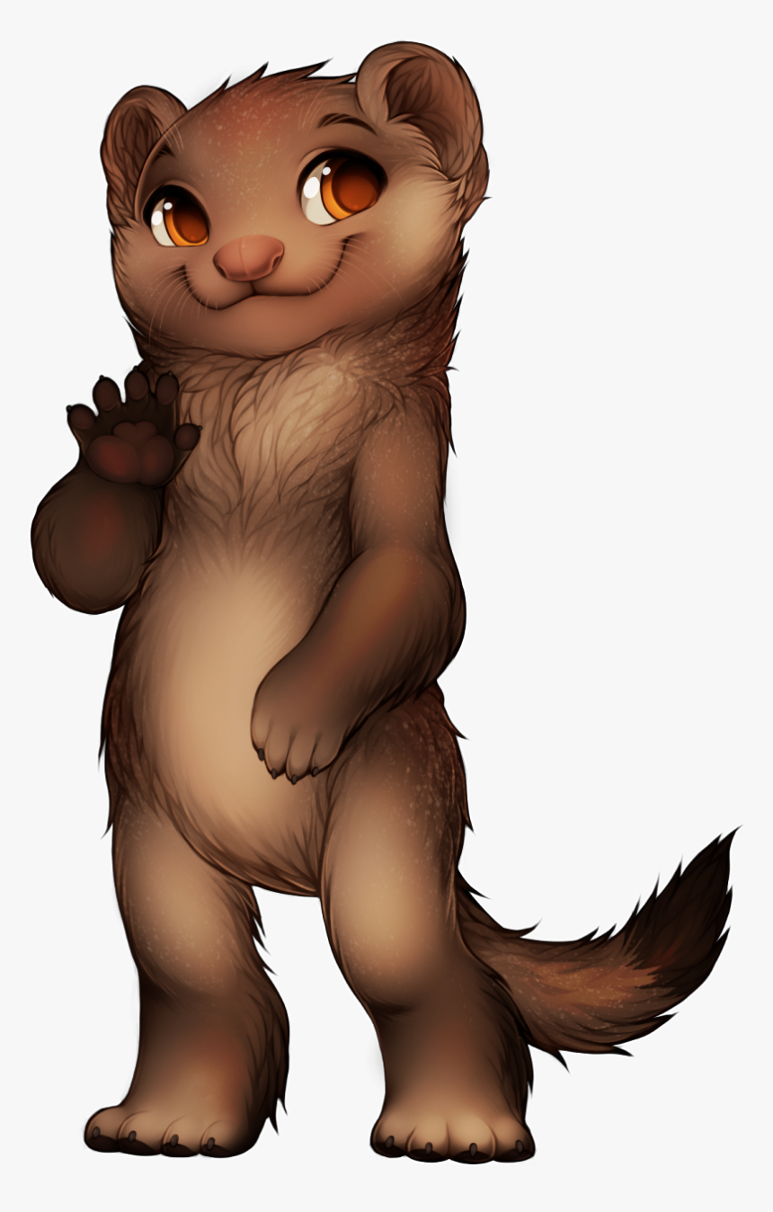 Ferret, HD Png Download