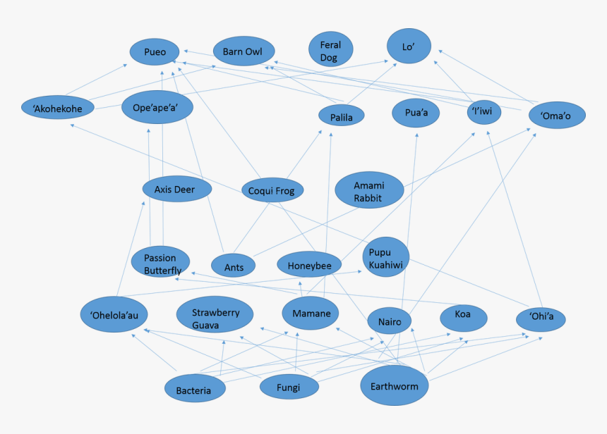 Picture - Impacts Of The Small Indian Mongoose, HD Png Download