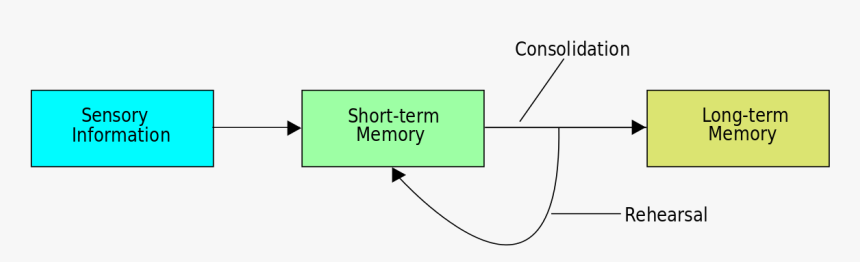 Consolidation Memory, HD Png Download , Transparent Png Image - PNGitem