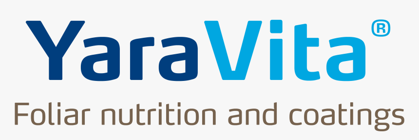 Yara Vita, HD Png Download