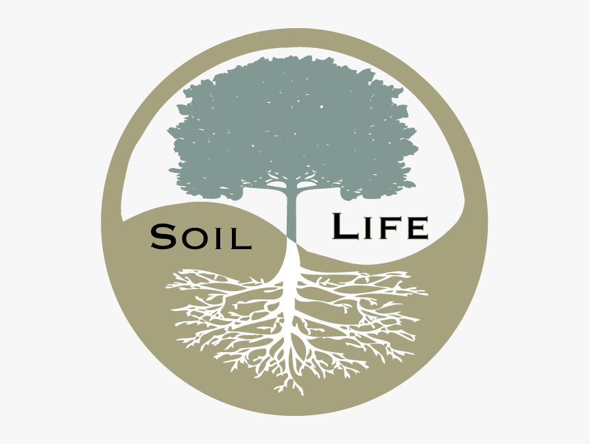 Impact Of Chemical Fertilizers On Environment, HD Png Download