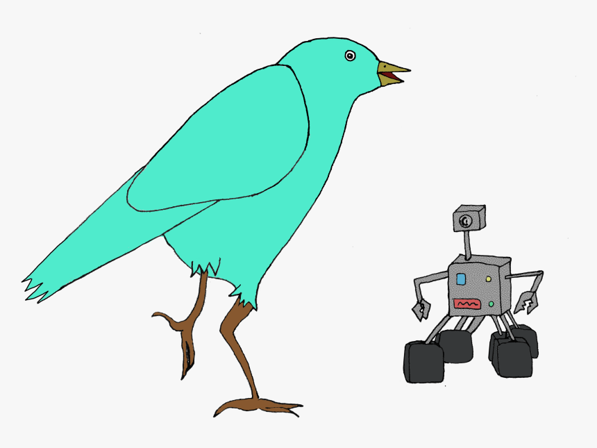 Clip Art Beak Portable Network Graphics Bird Illustration - Portable Network Graphics, HD Png Download