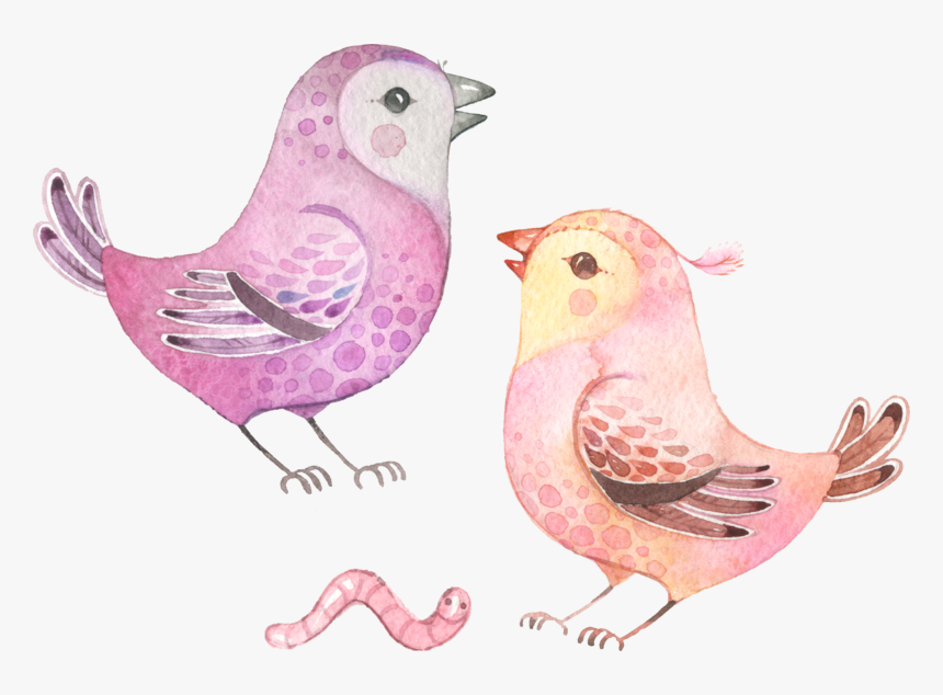 Chicken, HD Png Download