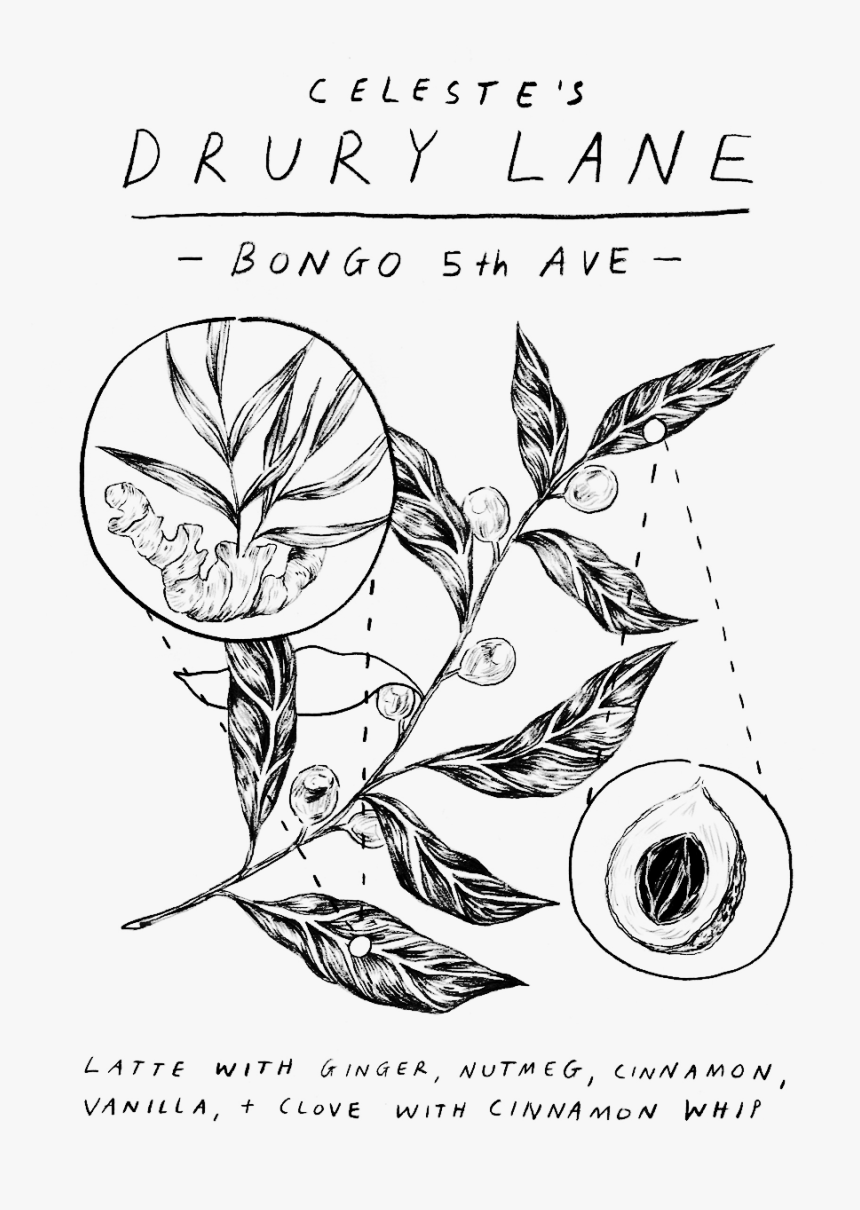 Bongosigdrink17 Drurylane - Line Art, HD Png Download